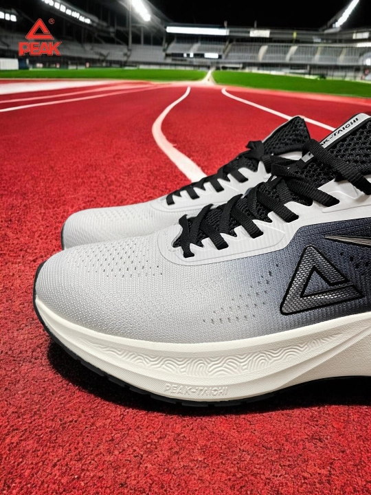 PEAK SPORT erkaklar krossovkasi, 40-46, 47, 48 Running, yugurish uchun