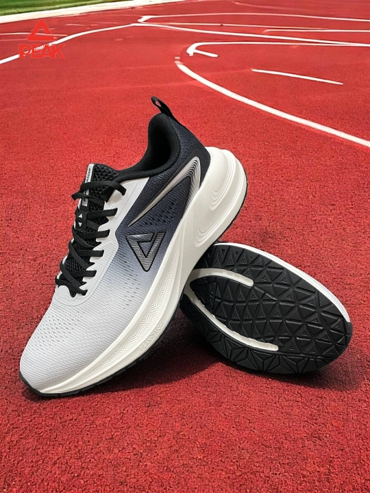 PEAK SPORT erkaklar krossovkasi, 40-46, 47, 48 Running, yugurish uchun