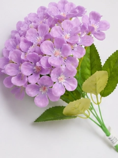 Lavanda