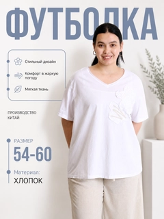 Oq