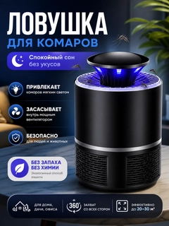 Qora