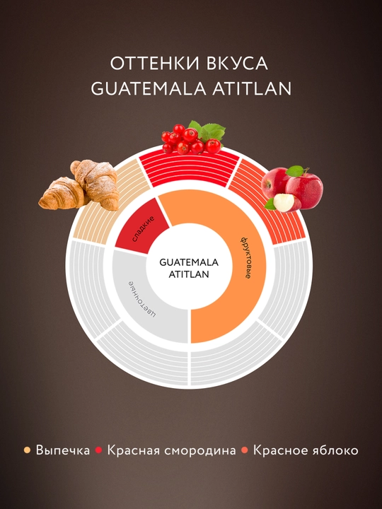 Sublimatsiya qilingan qahva Jardin Gvatemala, 95 g
