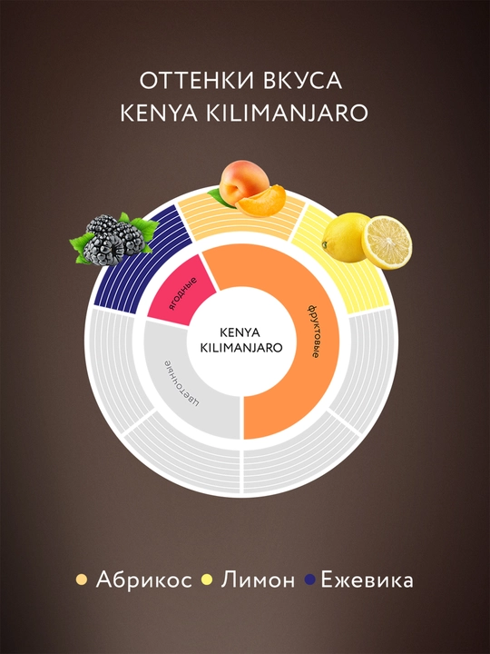 Sublimatsiya qilingan qahva Jardin Kenya Kilimanjaro, 75 g
