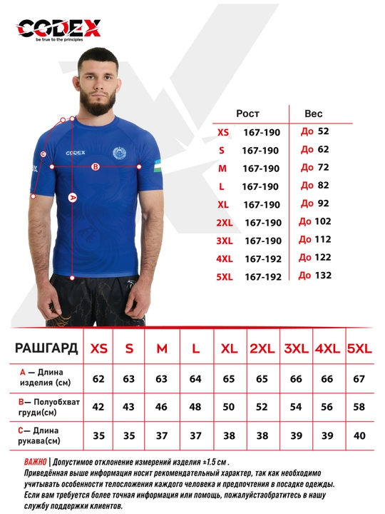 Rashguard Codex Phoenix erkaklar jang san'ati, MMA, Jiu-Jitsu va Grappling uchun