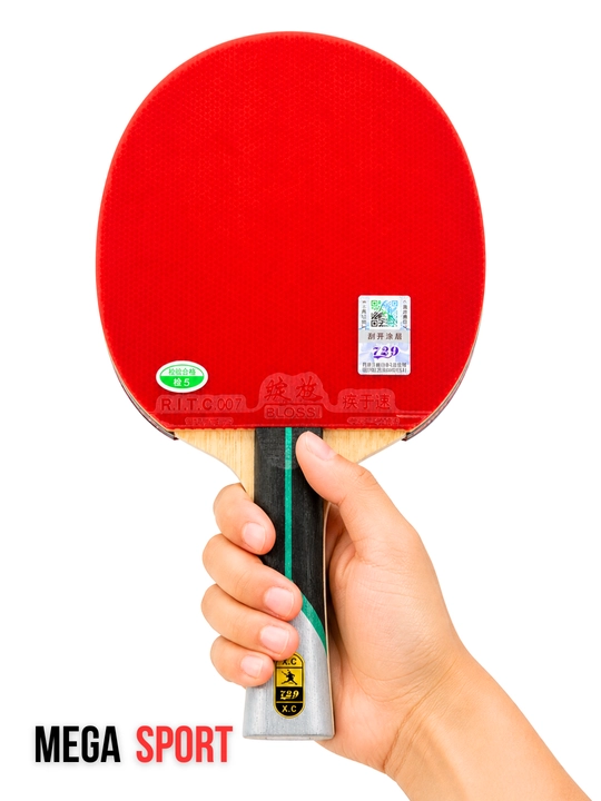 729 KING Professional Ping Pong - stol tennis Raketka to‘plami, chexol bilan