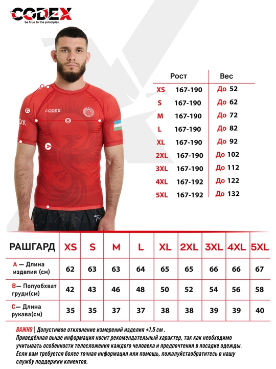 Rashguard Codex Phoenix erkaklar jang san'ati, MMA, Jiu-Jitsu va Grappling uchun
