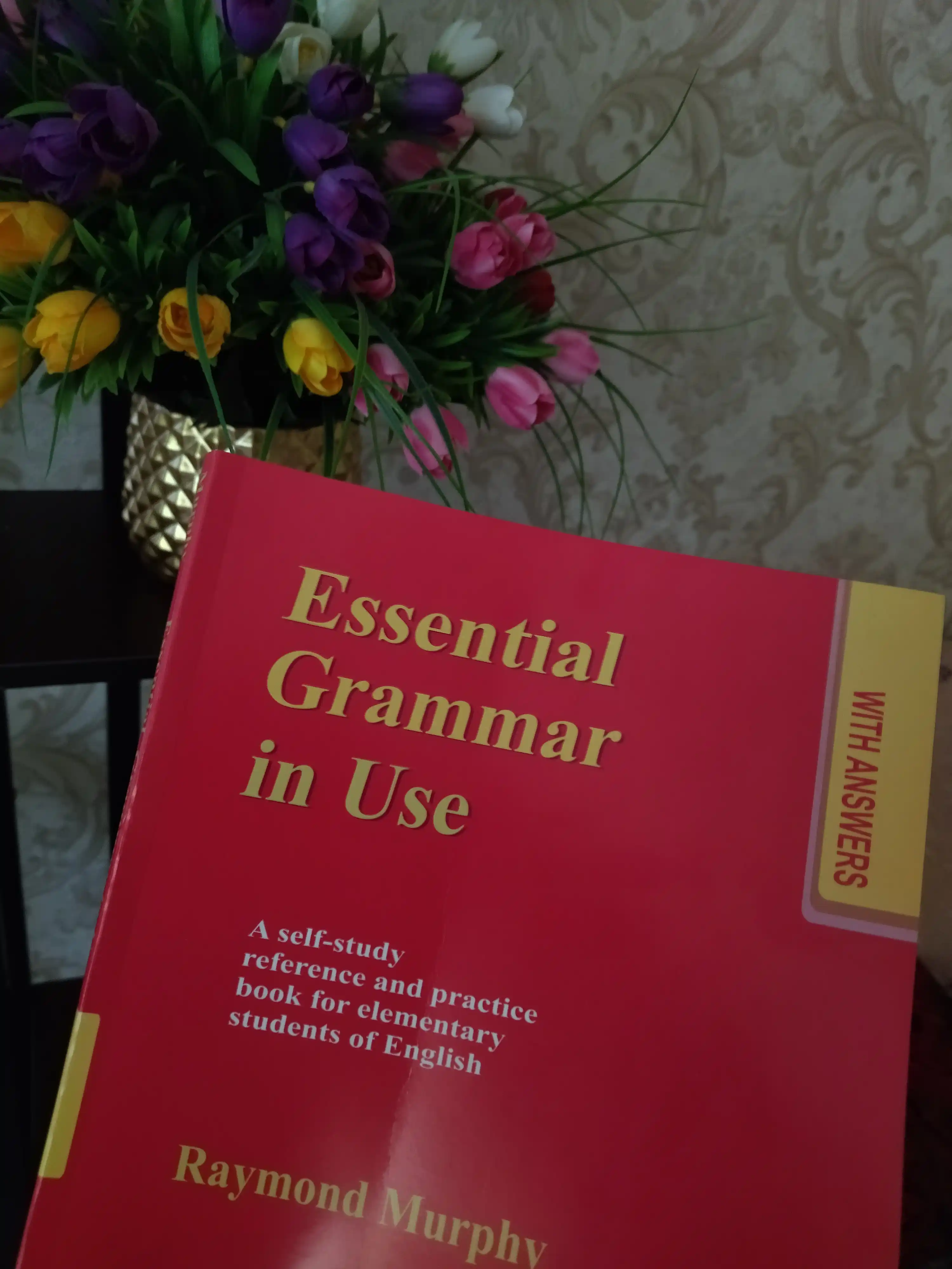 Raymond Murphy, Essential Grammar in Use / English Grammar in Use