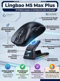 Qora