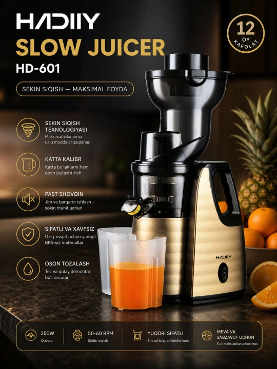 Соковыжималка медленного отжима HADIY (Slow Juicer) HD-601 - 