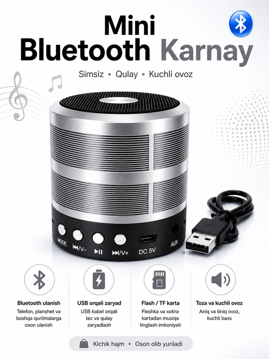 AWS-887 portativ karnay mini-karnay - 