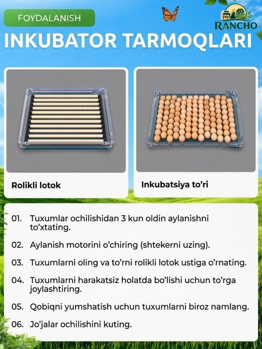 Инкубатор для яиц, автоматический, цифровой дисплей, с переворотом