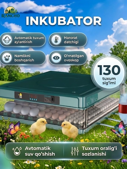 Инкубатор для яиц, автоматический, цифровой дисплей, с переворотом