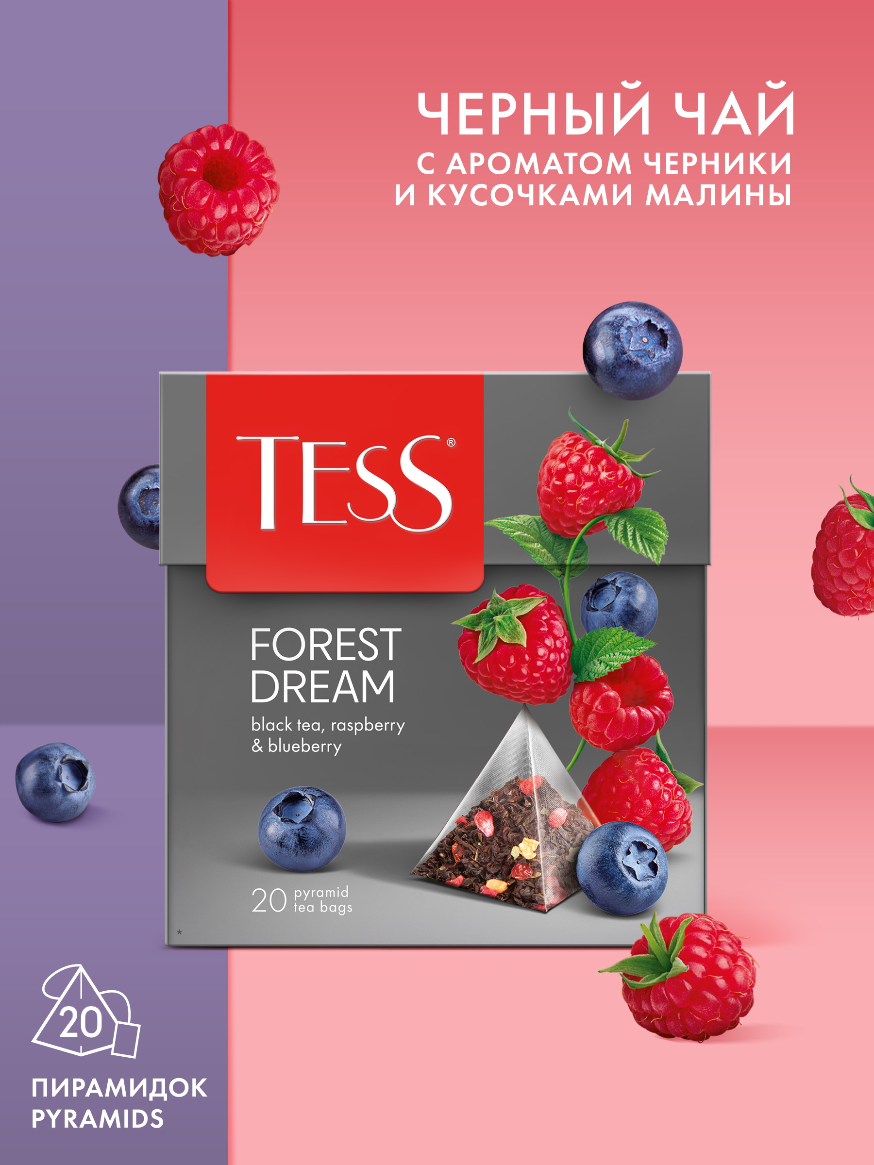 Qora choy TESS Forest dream 1.8 g, 20 piramida - 