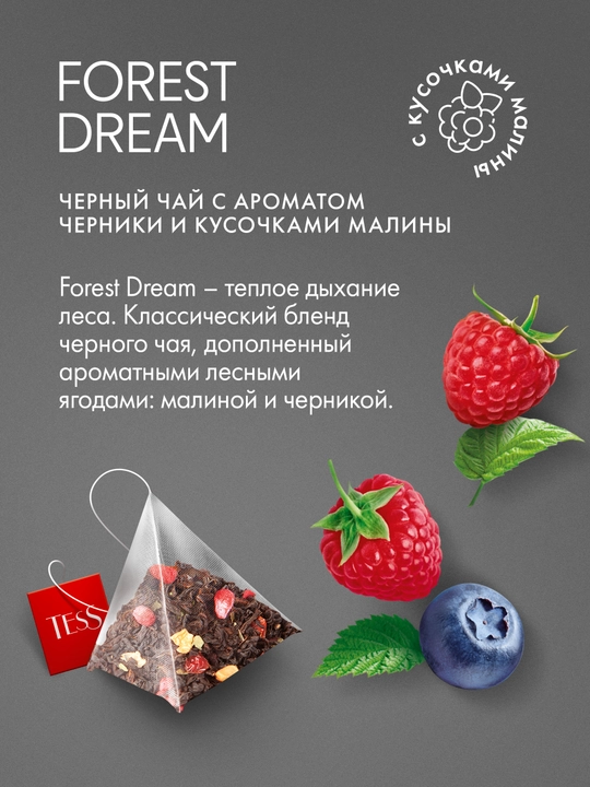 Qora choy TESS Forest dream 1.8 g, 20 piramida