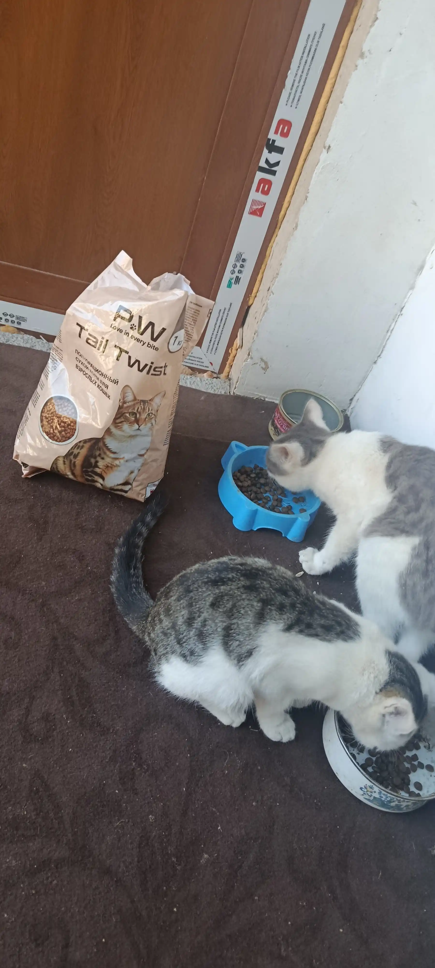 Paw Picks Tail Twist mushuklar uchun quruq yem go‘sht, guruch va sabzavot bilan 1 kg