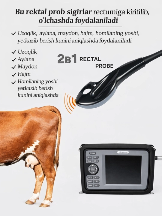 Professional Chorva UZI V8 Modeli+ 2in1 Rectal Probe Veterinariya Ultrasound Apparati