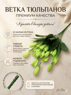 Салатовый