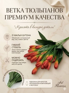 Оранжевый