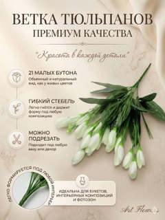 Белый