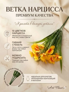 Манго