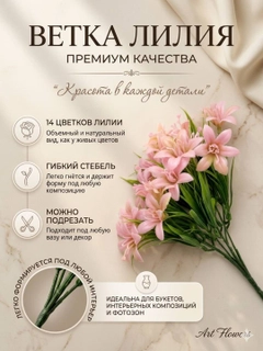 Пудровый