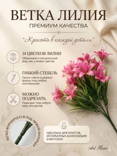 Рыжий