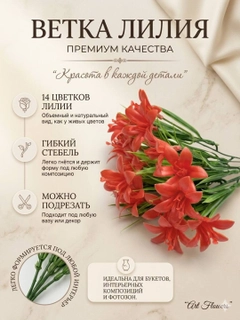 Кораллово-розовый