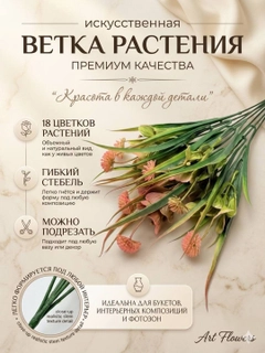 Коралловый