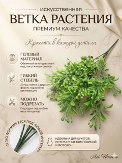 Хаки