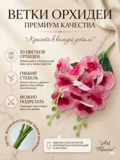 Пастельно-коралловый