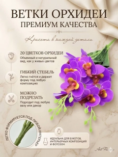 Фуксия