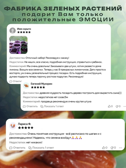 Домашний лимон набор + Домашний гранат набор — НИХОЛЧИ-ЛИМОНГА-КРАСН