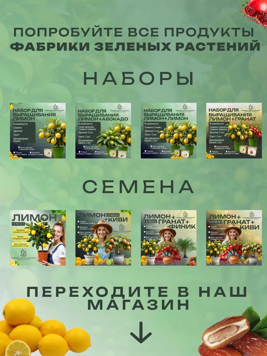 Домашний лимон набор + домашний гранат набор