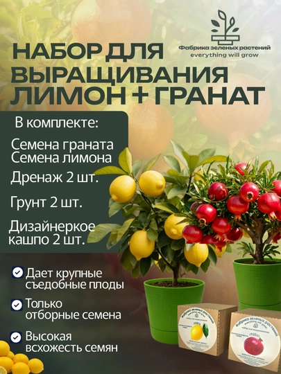 Домашний лимон набор + Домашний гранат набор — НИХОЛЧИ-ЛИМОНГА-ЖЕЛТ