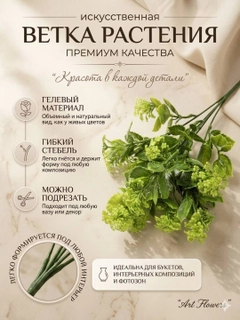 Лайм