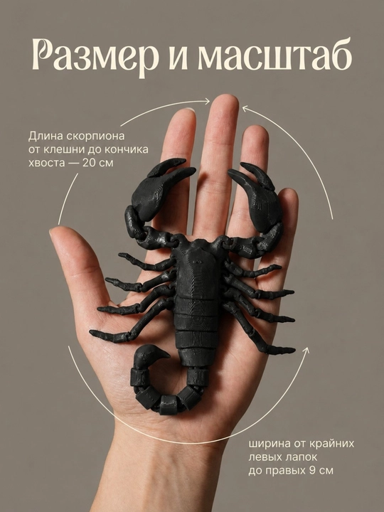 3D bosmada antistress Chayon, harakatlanuvchi o‘yinchoq