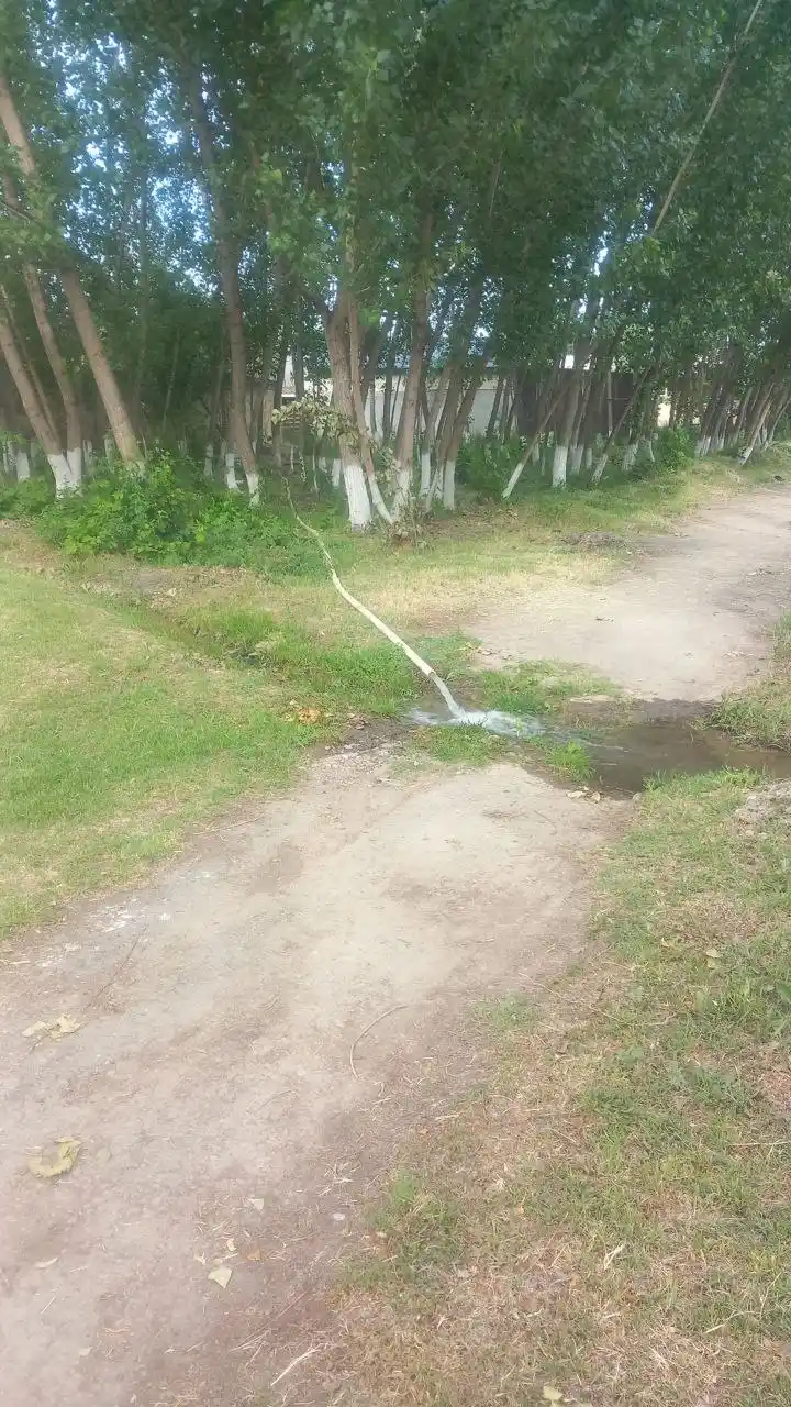Yuqori sifatli gibrid bog‘ shlangi – no kink buralmaydigan, 10m / 15m / 20m / 30m