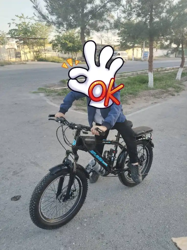Velosiped Demansh, tezlikli, tog' uchun, 3.0 balon