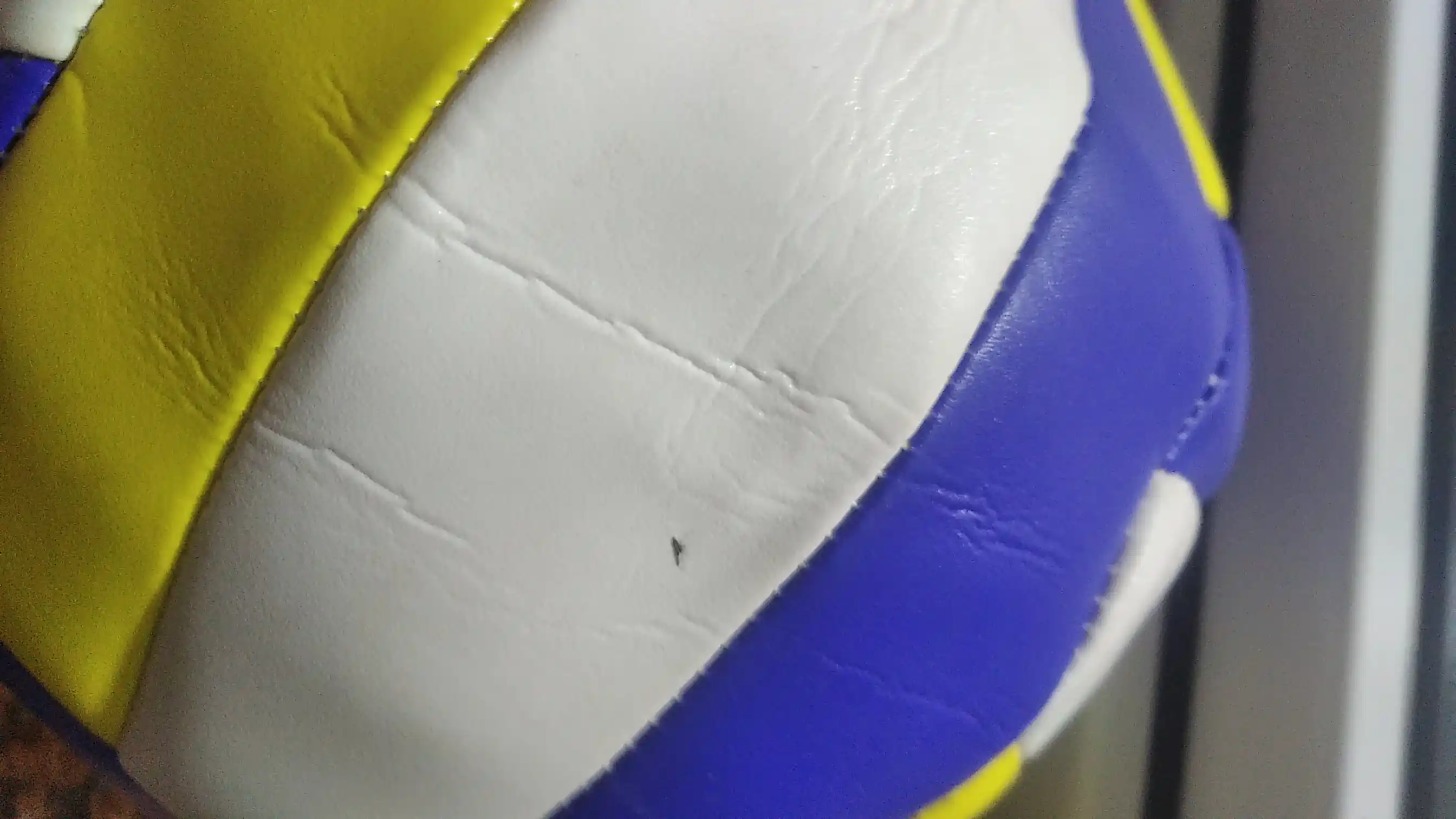 Voleybol to‘pi, mashg‘ulotlar uchun, shishirish ignasi sovg‘a