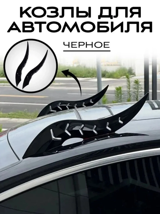 Avtomobil ustidagi shoxlar, tomga - 