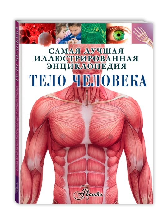 Inson tanasi. Gibbert K. - 