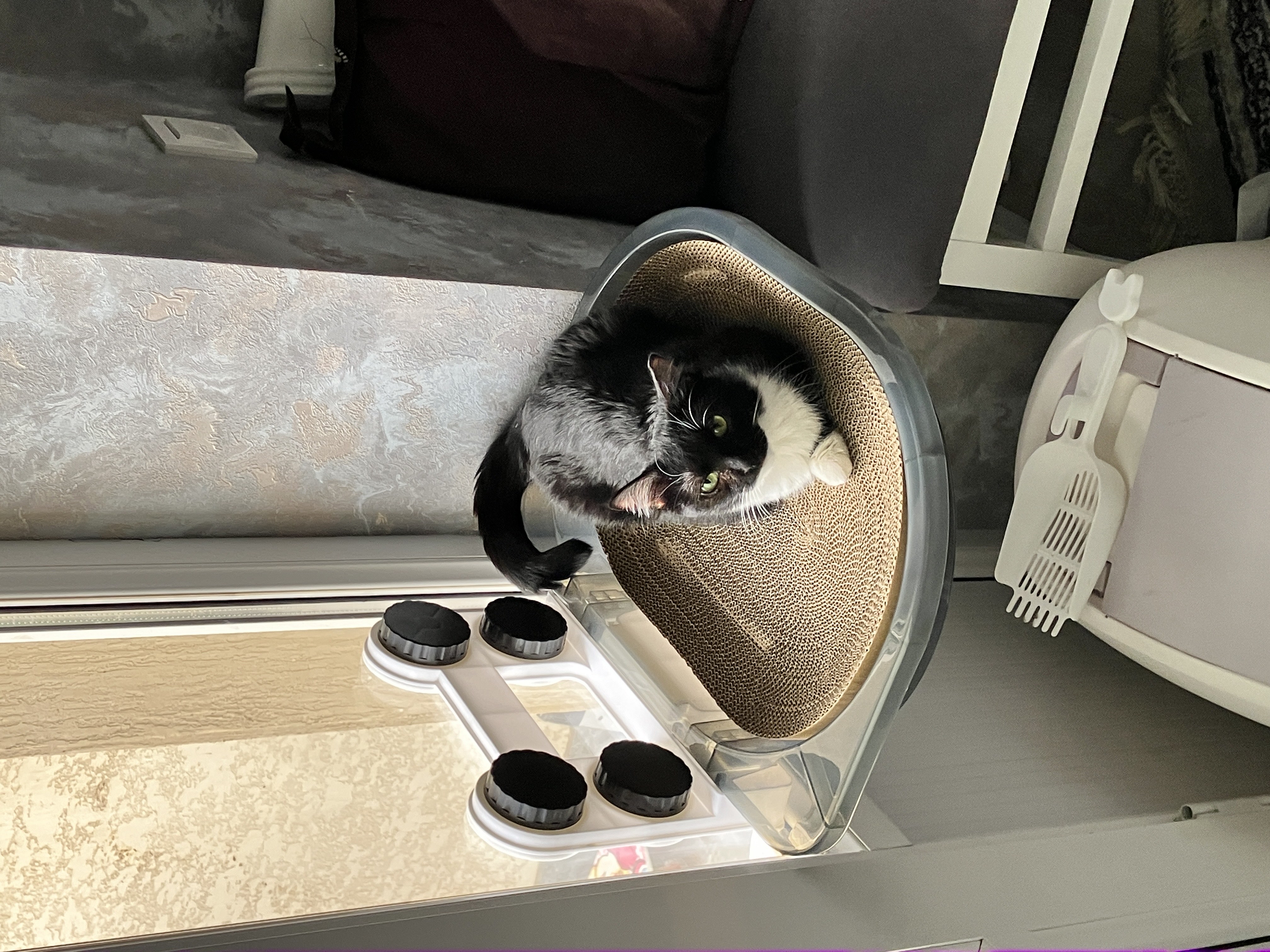 Гамак, домик для кошек, полка для кошек на окно на присосках, Подвесная лежанка,