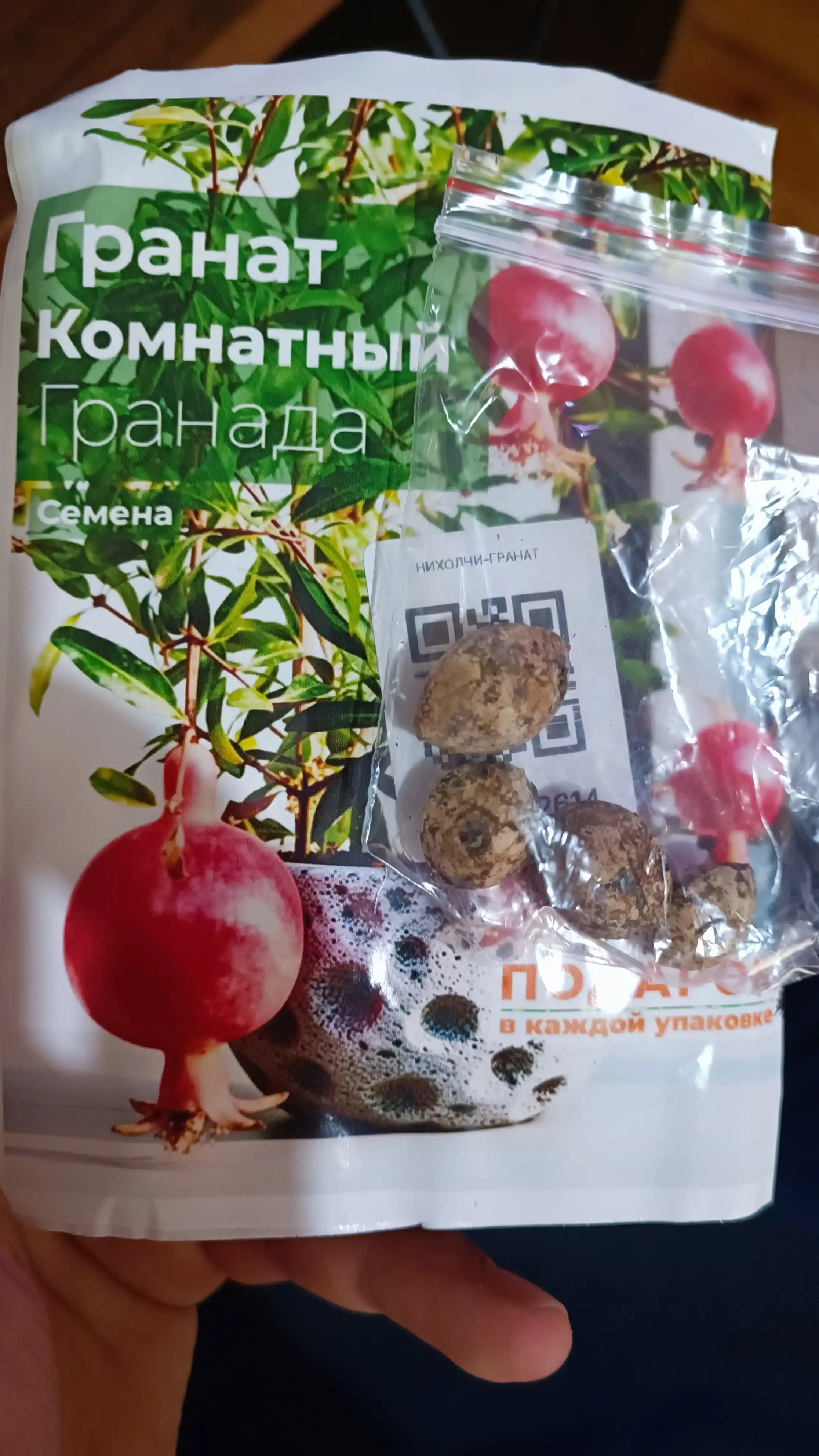 Xona anori, Urug‘lar, 20 dona, xona o‘simliklari urug‘lari