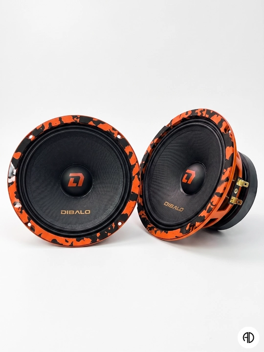 Avtomobil estradniy dinamiki Pioneer Avto DIBALO, 16 sm, (6.5 dyuym), 100 Vt, Leopard rang