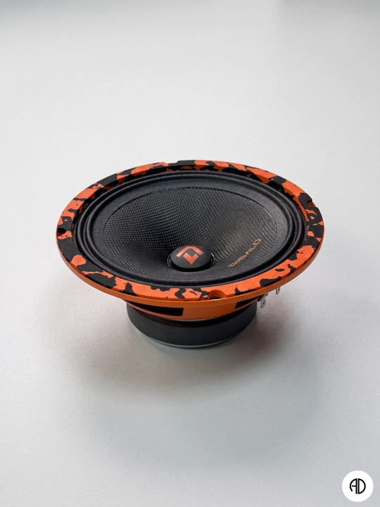 Avtomobil estradniy dinamiki Pioneer Avto DIBALO, 16 sm, (6.5 dyuym), 100 Vt, Leopard rang