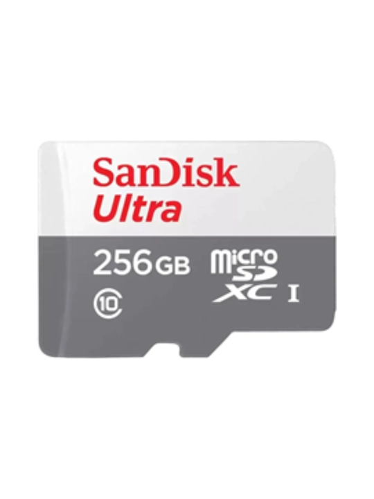 USB fleshka - Flash disk - 256 GB, SanDisk, USB 3.0 - 