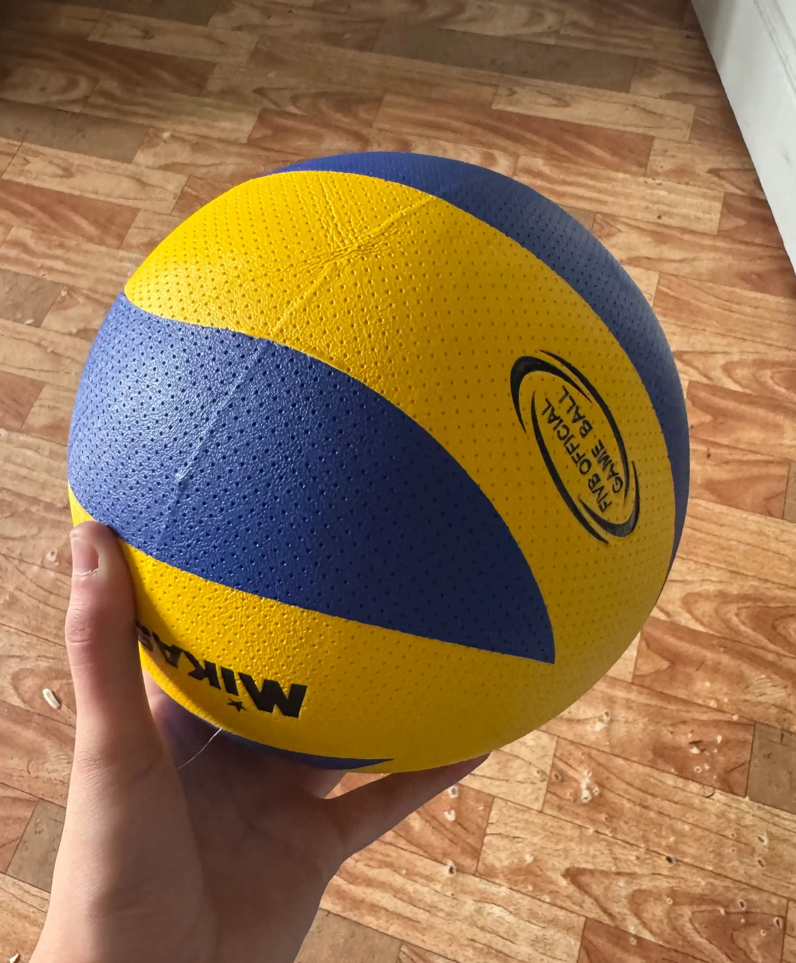 Voleybol to'pi V200 Nasos va Igna bilan