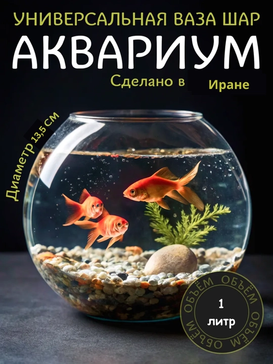 Baliqlar va o‘simliklar uchun dumaloq shisha akvarium - 