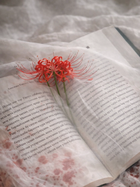 Laylo — muhabbat va sog‘inch haqida ta’sirli roman | Aleksandra Kavelyuk 