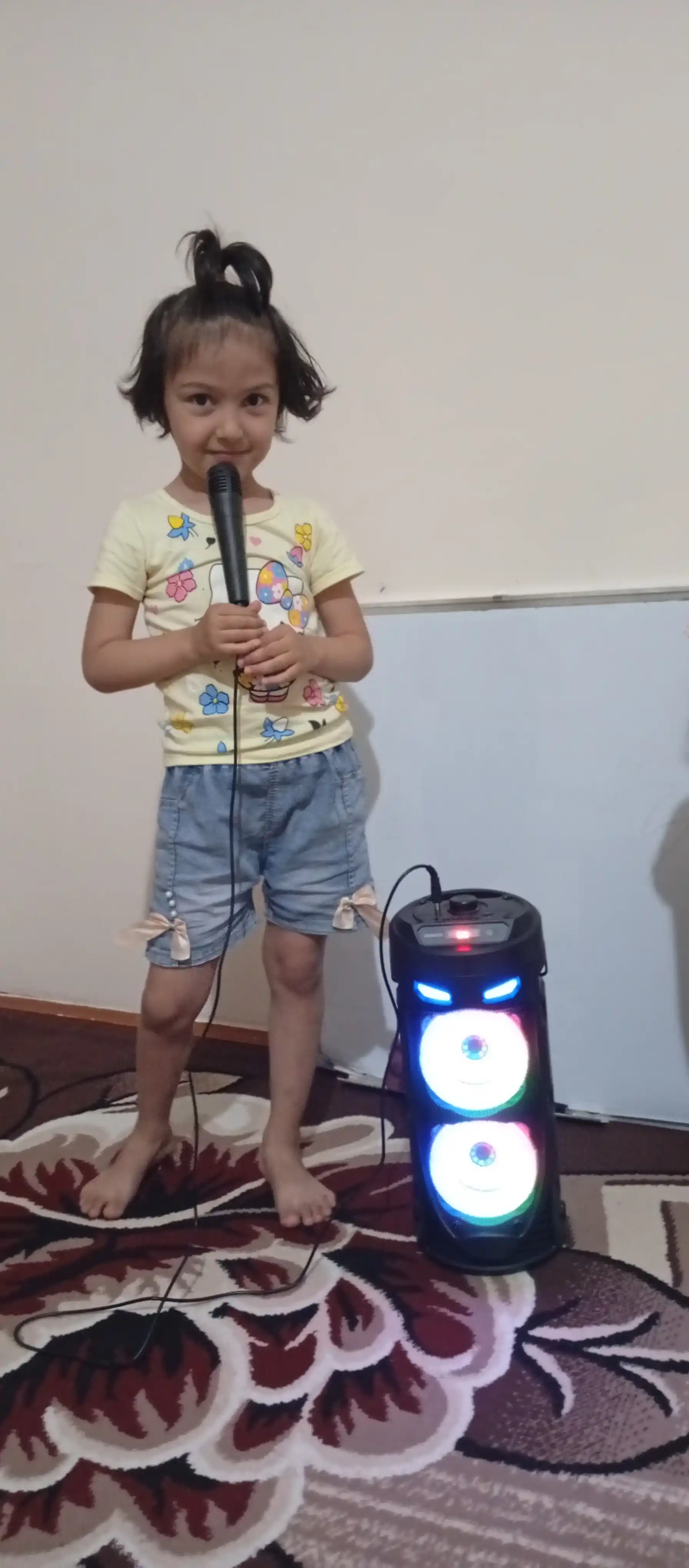 Portativ karaoke kolonka ZQS, mikrofon, pultli, RGB yorug'lik, Bluetoothli